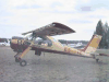 Wilga towplane