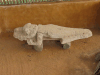 Caiman Statue More Eroded