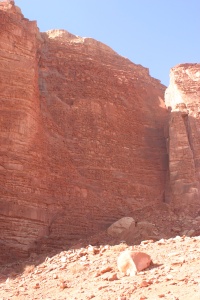 JORDAN NATURE Banner