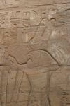 Close-up Montu Luxor Temple