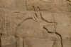 Close-up Head Anubis Luxor