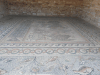 Elaborate Floor Mosaic