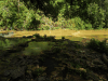 Natural Pools Semuc Champey