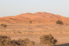 Large Sand Dune