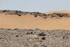 Rock Formations Desert