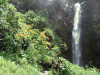First Three Waterfalls Boquette