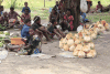 Coconuts Local Market