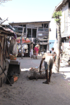 Village Life Port Moresby