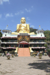 Sitting Buddha Dharmachakra Mudra