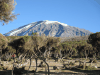 Kilimanjaro Descent Route Right