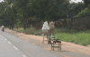 Roadside Vegetable Stand Vegetables