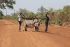 Donkey-drawn Cart
